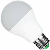 Ampoule E27 LED 12W 220V A60 180° - Unité / Blanc
