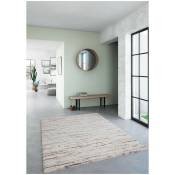 Hellocarpet - Tapis moderne shaggy rayé Harlowton Beige 120x170 - Beige