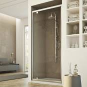 Porte de douche pivontante verre transparent h 185