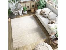 Tapis de salon design moderne petra tapiso marron clair