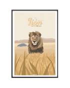 Affiche Animaux - Le Lion d'Afrique 30 x 40 cm
