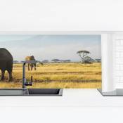 Crédence adhésive - Elephants In Front Of The Kilimanjaro In Kenya Dimension HxL: 50cm x 175cm Matériel: Smart