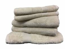 "lot de 5 serviettes eponge 600 g/m2 100 % coton -