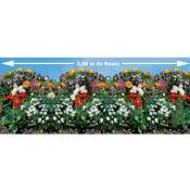 Tapis de graines pour bordures fleuries - Le tapis / L 350cm x l 21cm