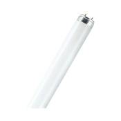 Tube fluorescent droit T8 Philips 30540 - tld 30W/54 6500