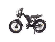 Vélo électrique fatbike z8 48v 15.6 ah