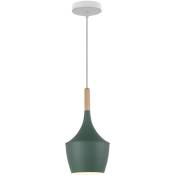 Lustre suspension créative industrielle moderne lampe suspension réglable cuisine simple salon - Vert