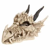 Nemesis Now Boite crâne Dragon 15cm AL50057 Ivoire