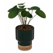 Atmosphera - Plante Artificielle en Pot Col 26cm Vert