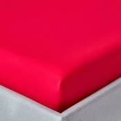 Homescapes - Drap-housse Rouge 100% coton Égyptien