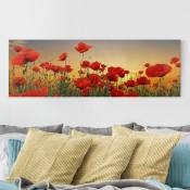 Impression sur toile - Poppy Field in Sunset - Panorama Dimension: 70cm x 200cm