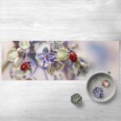 Micasia - Tapis en vinyle - Ladybird In The Garden - Panorama Paysage Dimension HxL: 40cm x 120cm