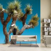 Papier peint jungle cactus geant 312x270cm