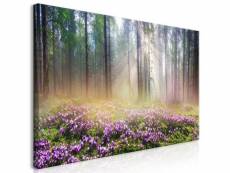 Tableau purple meadow (1 part) wide taille 70 x 35