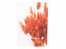 Toile fleurs de pampa rouge 80x120