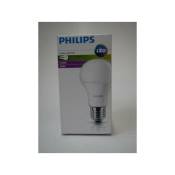Philips - Ampoule led 10W ronde A60 naturel 4000K 1055lm