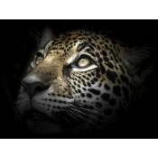 Tableau sur verre regard léopard 30x30 cm - Impression sur Verre - Image HD imprimée sur Verre - Tableau mural décoratif en verre - Finition