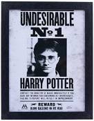 Harry Potter FP10616P-PL "Undesirable No 1" Image encadrée, Multicolore, 30 x 40 cm