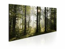 Tableau beautiful morning taille 70 x 35 cm PD10105-70-35
