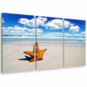 Tableau triptyque Tableau photo cliché de plage et son étoile - 90x60 cm