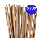 200 x Tuteur en Bambou 100 cm, 8-10 mm. Baguettes de bambou, canne de bambou écologique pour soutenir les arbres