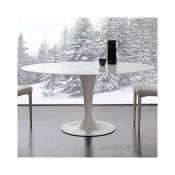Nouvomeuble Table ovale blanche en verre et acier OLIVIA