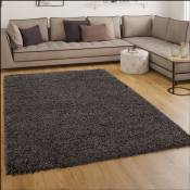 Paco Home - Tapis Shaggy Longues Mèches En Anthracite 200 cm rond