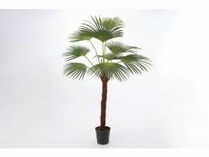 Palmier palm royal 215 cm