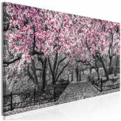 Tableau Magnolia Park (1 Part) Étroit Rose - 135 x