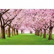 GREAT ART® Papier Peint – Fleurs de Cerisier –