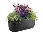 Pot à réserve d'eau Herb / Bac à herbes aromatiques - Céramique - Eva Solo noir en céramique