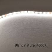 Ruban LED Blanc 60 LED/m 4,8W/m IP20 1m - Blanc Naturel