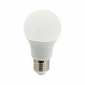 Ampoule LED E27 9W A60 815 lumens Blanc Chaud - Blanc