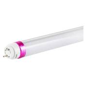 Barcelona Led - LED-Röhre T8 Spezial Delikatessen 60cm 10W