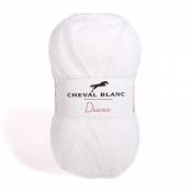 Laines Cheval Blanc - DIANE fil à tricoter 50g - 100% acrylique - Fil pour tricot et crochet - Pelote douce et chaude, idéale tricot adulte et layette