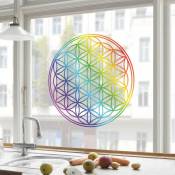 Sticker de fenêtre Fleur de couleur arc-en-vie - Dimension: