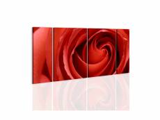 Tableau - passionate rose-60x30 A1-N1978