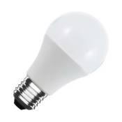 Ledbox - Ampoule led E27, A60, 10W, 12/24V ac/dc, Blanc chaud