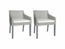 Lot de chaises à dîner avec coussins 2 pcs gris rotin naturel - gris - 60 x 60 x 79 cm