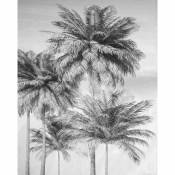 Papier peint panoramique Cocco - 200 x 250 cm de Komar noir et blanc