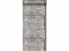 Papier peint plaques métalliques gris clair et brun rouille - 138218 - 53 cm x 10,05 m 138218