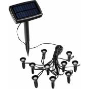 Projecteur solaire à led pour plantes - 10 projecteurs / blanc chaud - Luminaires de jardin
