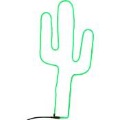 Cactus lumineux à led d'extérieur