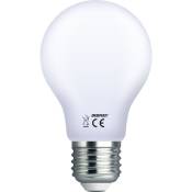 Debflex - ampoule A60 filament verre blanc E27 4W 6500K