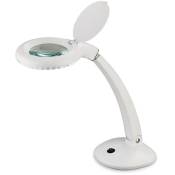 Firstlight Products - Firstlight Magnifying - Lampe de table loupe led intégrée, blanc