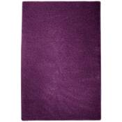 Karat - Tapis Shaggy à poils longs Violet 100 x 150 cm - Violet