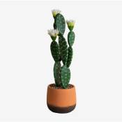 Sklum - Cactus Artificiel avec Fleurs Cereus 51 cm ↑51 cm - ↑51 cm