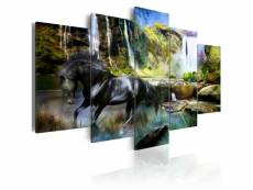 Tableau sur toile en 5 panneaux décoration murale image imprimée cadre en bois à suspendre cheval noir sur fond de cascade paradis 200x100 cm 11_00029