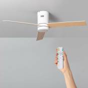 Techbrey - Ventilateur de Plafond Silencieux Tydir
