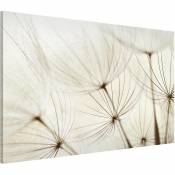 Bilderwelten - Tableau magnétique - Gentle Grasses - Format paysage Dimension: 40cm x 60cm